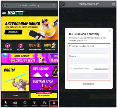 Как зайти в ЛК Макслайн в мобильной версии