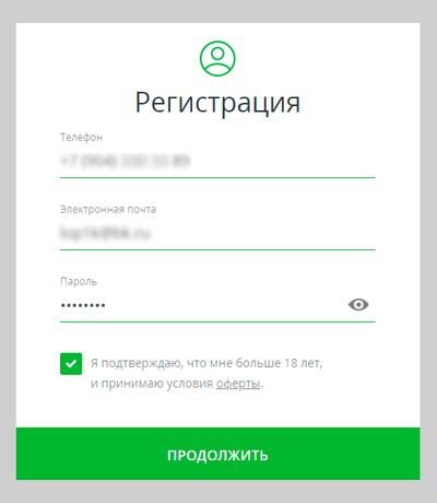 Скриншот регистрации в Первом ЦУПИС