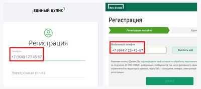 Скриншот регистрации в Едином ЦУПИСЕ и БК «Лига Ставок»
