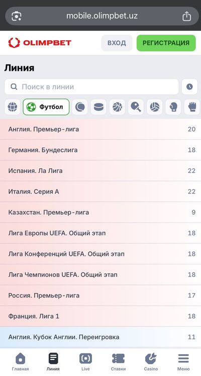 Проверка официального домена перед входом