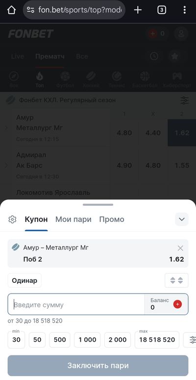 Одиночная ставка на хоккей