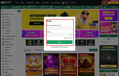 Как зайти в ЛК Макслайн на ПК