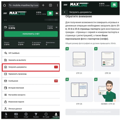 Как пройти идентификацию в Макслайн