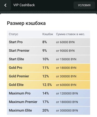 Статусы и кешбэк в программе лояльности Макслайн