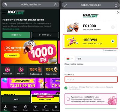 Как зарегистрироваться в Макслайн