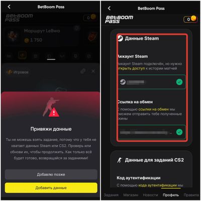 Как подключить аккаунт Steam для выполнения игровых заданий в BetBoom Pass