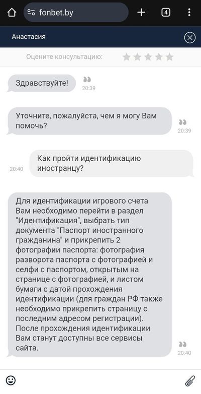 Общение с консультантом техподдержки в онлайн-чате