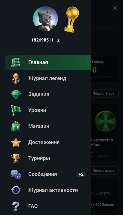 Меню Betera Pass в мобильном браузере Safari
