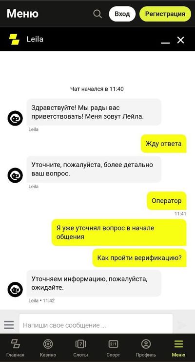 Общение с консультантом техподдержки Parimatch в чате