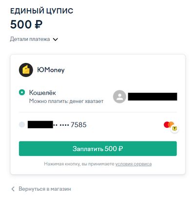 Скриншот пополнения через ЮMoney (бывший Яндекс.Деньги)